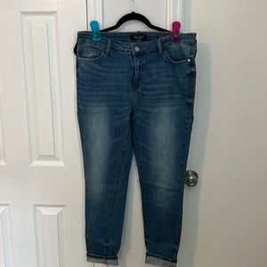 Judy Blue Skinny Jeans